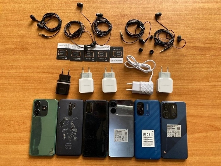 В исправительной колонии №3 УФСИН России по Смоленской области пресечена попытка доставки запрещенных предметов