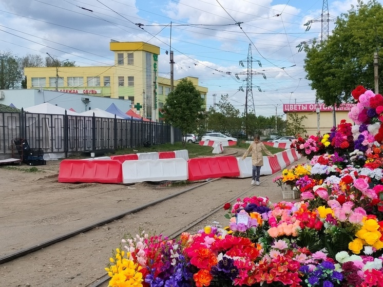 19 мая в Саратовской области будет тепло и солнечно