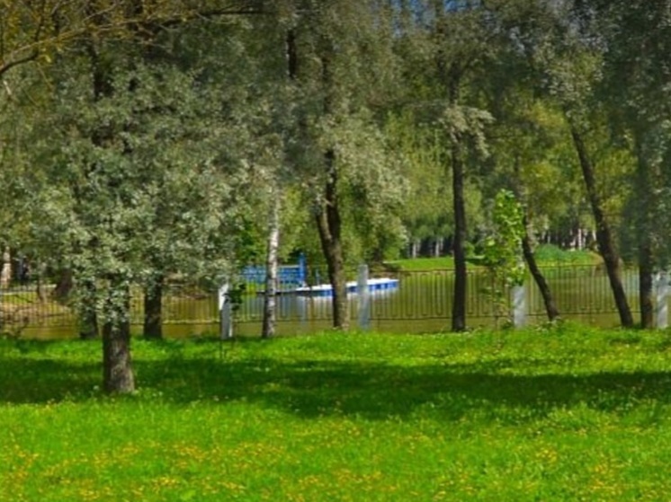 В Ярославле очистят городские пуды