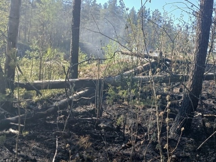 Первый лесной пожар произошел в Карелии