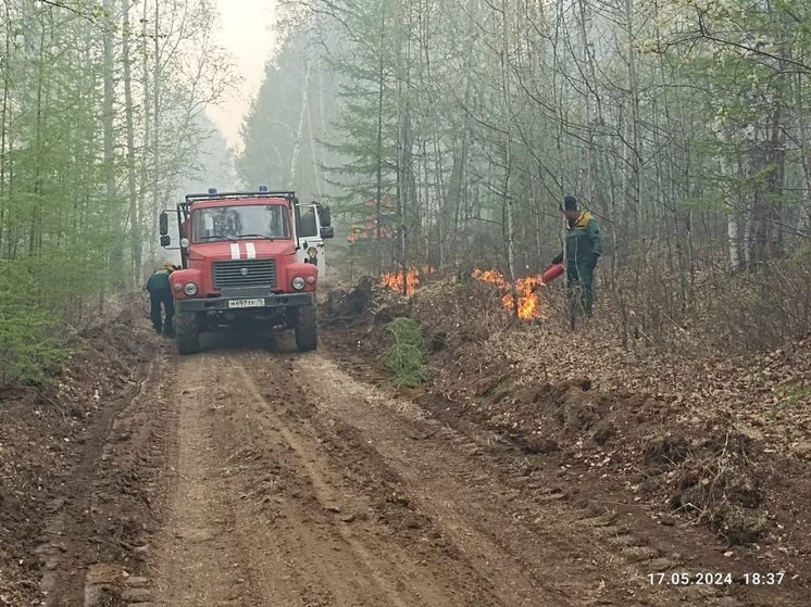 Угрожавший поселку лесной пожар потушили в Забайкалье