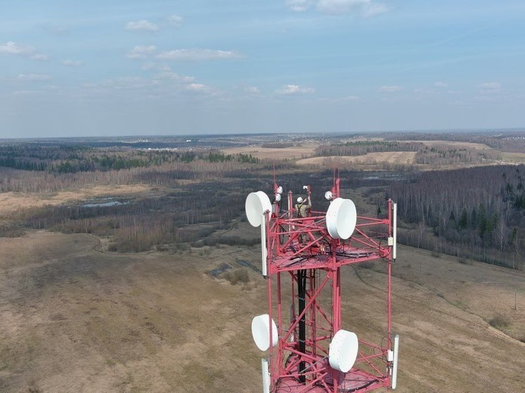 Лесной пожар потушили в округе Воскресенск