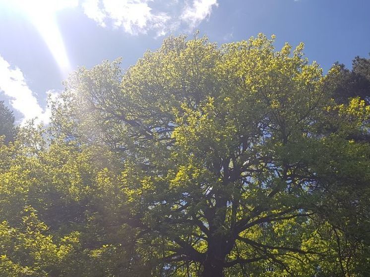 В Подмосковье сегодня будет погода «миллион на миллион»