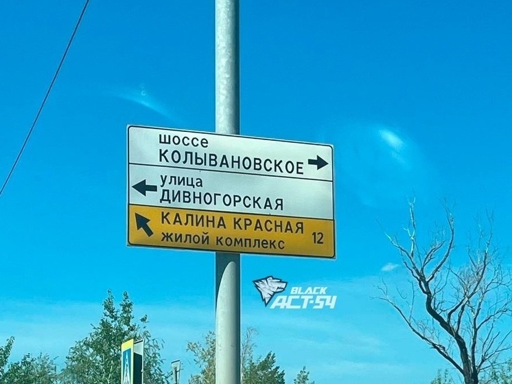 Новосибирцы возмутились дорожным указателем с ошибкой