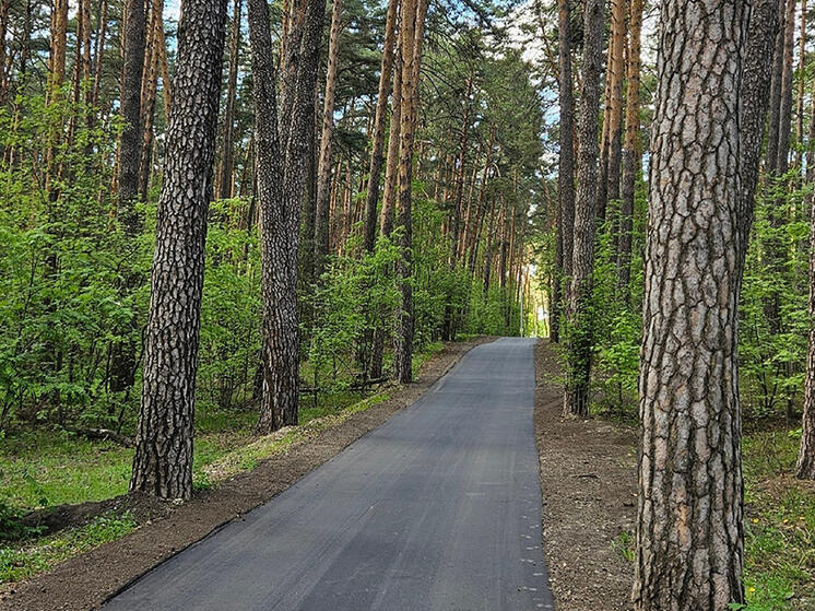 В рязанской Солотче заасфальтировали дорожку к Лысой горе