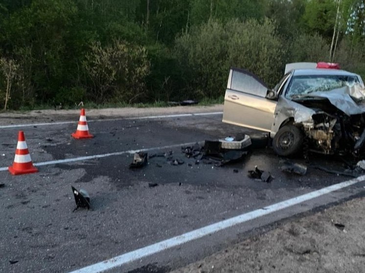 В ДТП под Лугой погибло двое взрослых и пострадал один ребенок