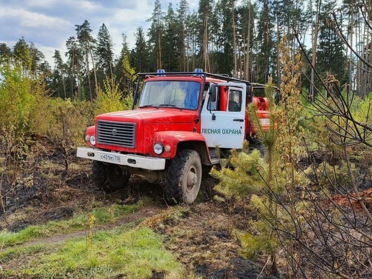 Огненный прогноз дали в Подмосковье на ближайшие 3 дня