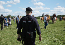 Троих подростков задержали за повреждения 47 могил под Вологдой в Шекснинском районе