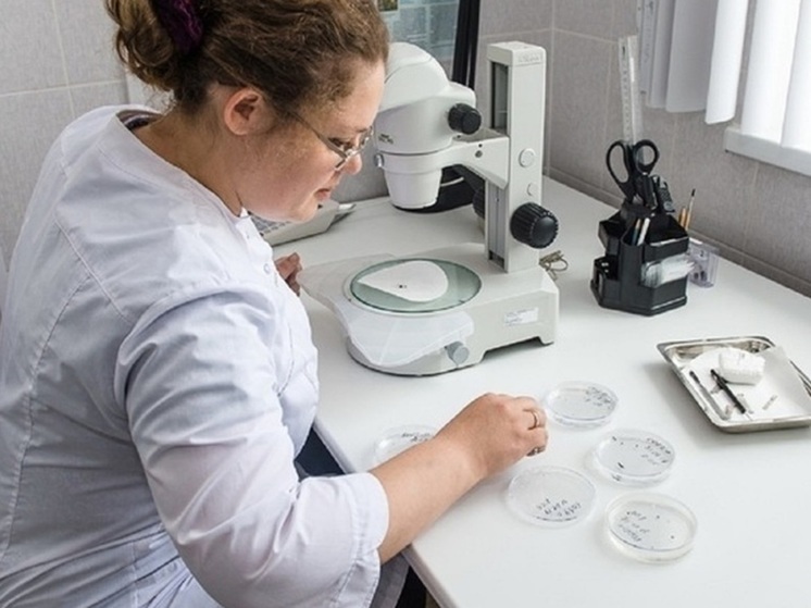  Фальсифицированное сливочное масло поступало в больницы и вуз Екатеринбурга