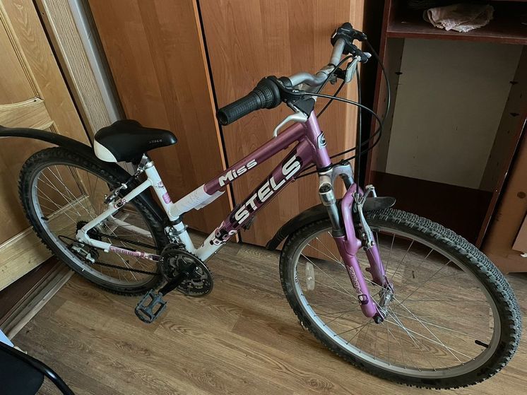 Смоленские сыщики вернули владелице украденный велосипед