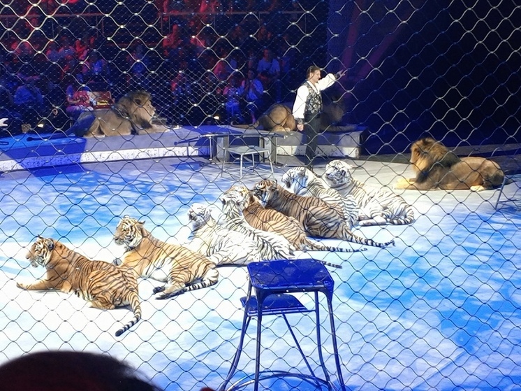 Братья Запашные отправились в Донбасс вопреки угрозам с украинской стороны