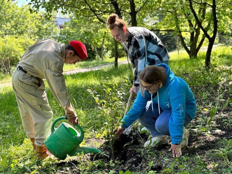 Юные жители Харцызска отметили День пионерии высадкой фруктовых деревьев