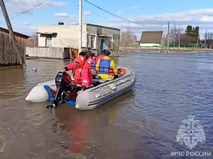 Уровень воды в Иртыше на севере Омской области начал снижаться