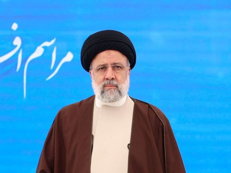 Слуцкий: следствие должно разобраться в причине гибели президента Ирана