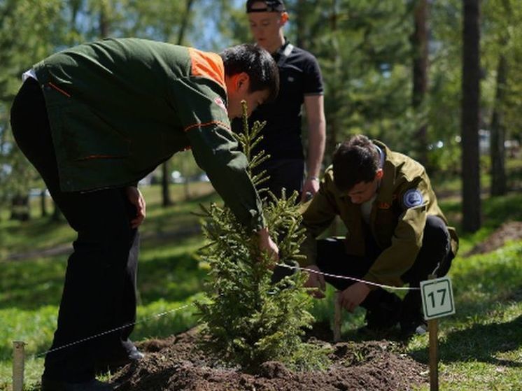 Железнодорожники приняли участие в создании аллеи имени 50-летия БАМа в Иркутске