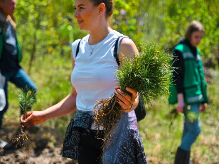 В Хабаровске прошла акция «Сад Памяти»