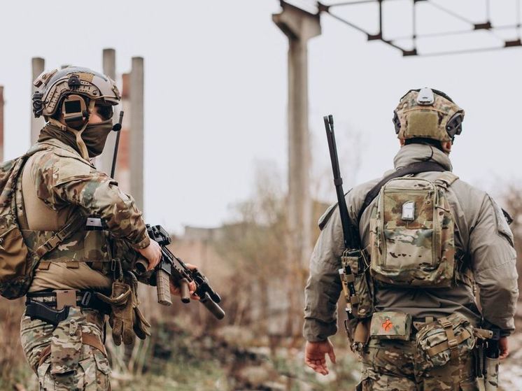 Пушилин: пока нет информации о присутствии войск Франции на Украине