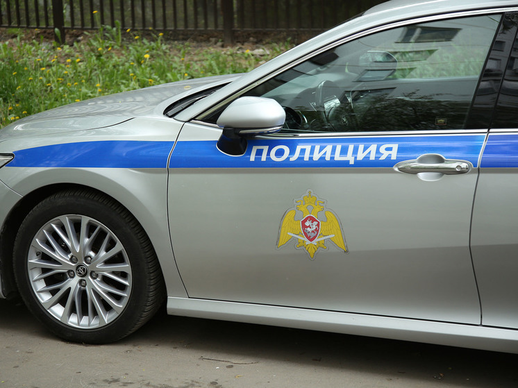 В магазине Подмосковья задержали любителя бесплатного сыра