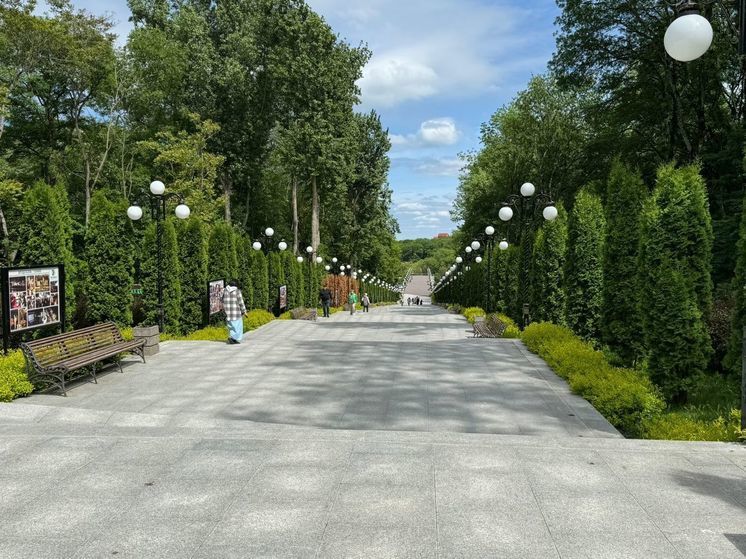 Туевая тля поедает деревья в Железноводске