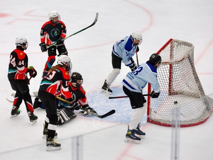 Турнир «Золотая шайба» завершился в Подмосковье