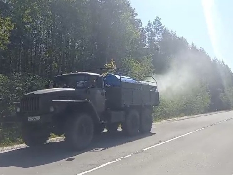 Леса Подмосковья начали обрабатывать от непарного шелкопряда