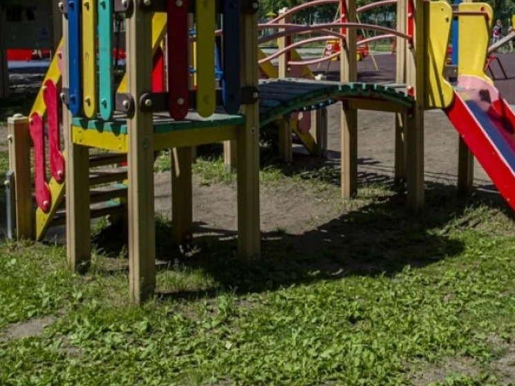 В Новосибирске опубликовали список самых опасных детских площадок