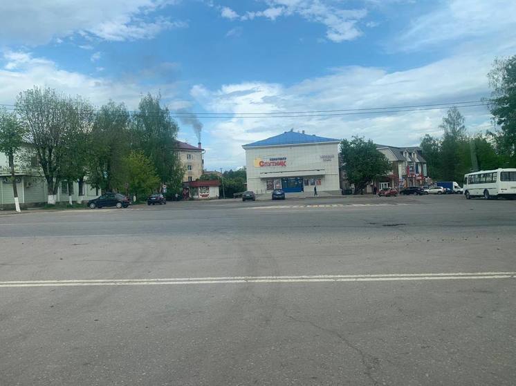 На ребенка в Тверской области напала стая бродячих собак