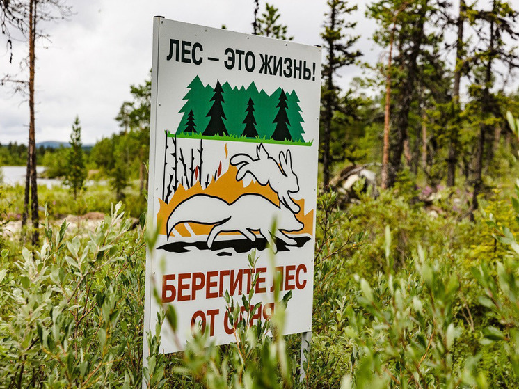 В Мурманской области начался пожароопасный сезон