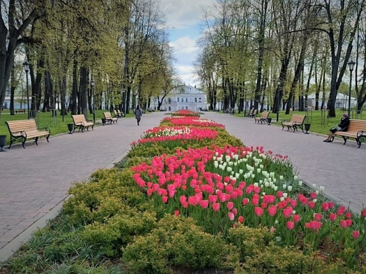 В Костроме высадят порядка 125 тысяч цветов