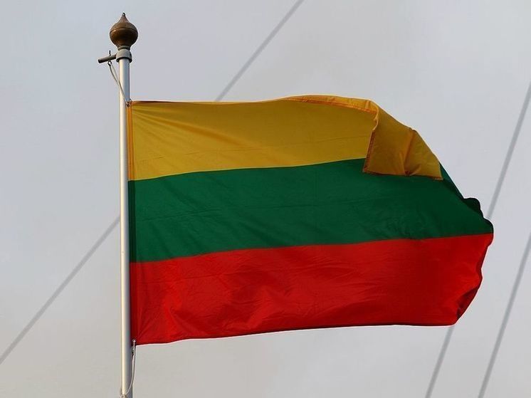 Литва назвала условие возвращения своих военных инструкторов на Украину