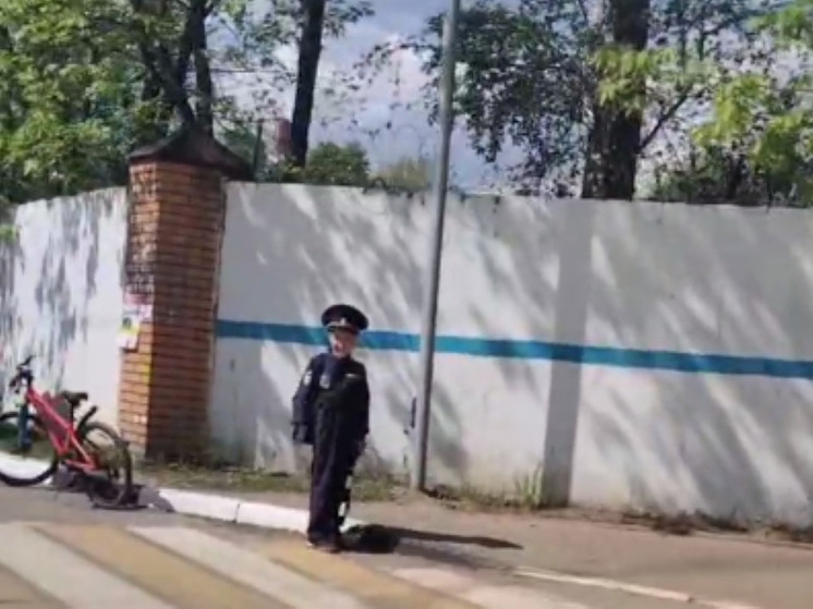 Самый юный инспектор ДПС патрулирует дороги в Раменском