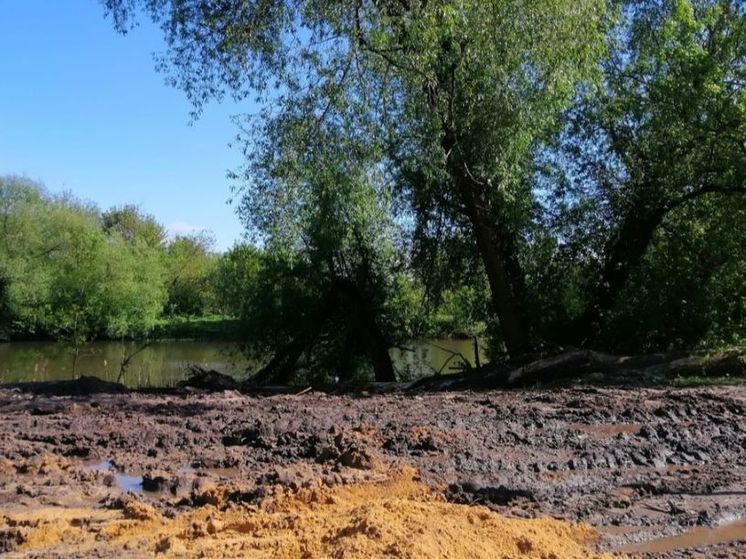 Депутат недоволен ходом благоустройства сквера «Дворянское гнездо» в Орле