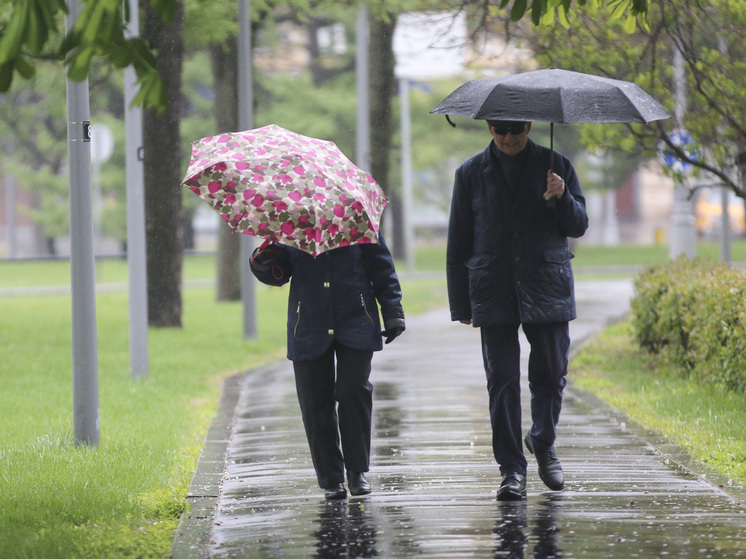 МЧС выпустило экстренное предупреждение из-за грозы