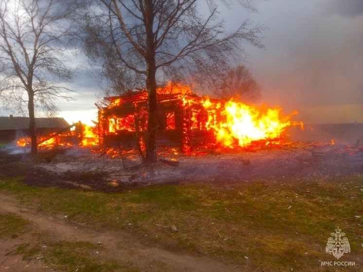 Три нежилых дома сгорели в Сямженском округе из-за грозового разряда