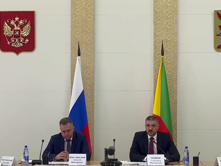 План борьбы с лесными пожарами за сутки разработают в Забайкалье