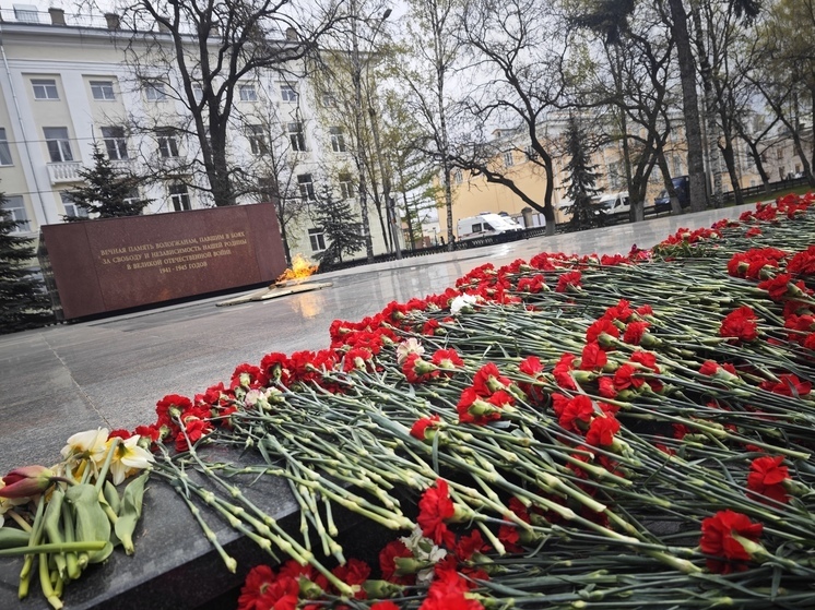 Вологодские поисковики вернулись из военных экспедиций проекта «Вахта памяти»