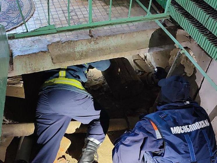 Подмосковные спасатели освободили собаку из подвала дома