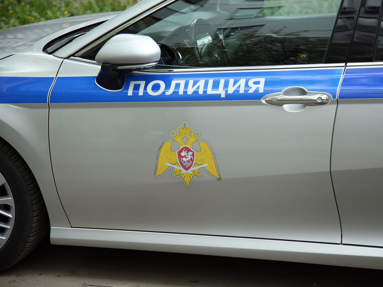 Подозреваемого в краже у ребенка велосипеда задержали в Кашире