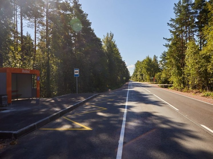 Дорожники отремонтируют трассу от деревни Выбье к поселку Курголово под Кингисеппом