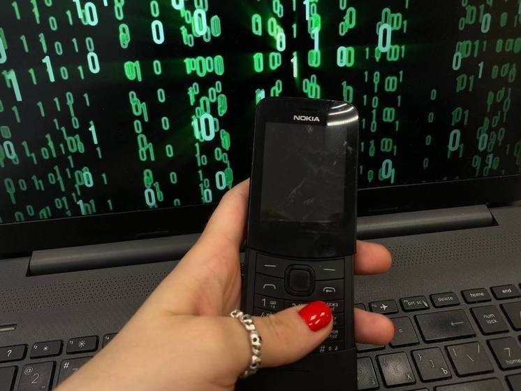 Жителям Ленобласти рассказали о новой схеме обмана телефонных мошенников через «Госуслуги»