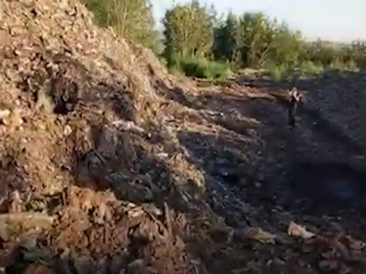 В Подмосковье раскопали полигон с опасными промышленными отходами