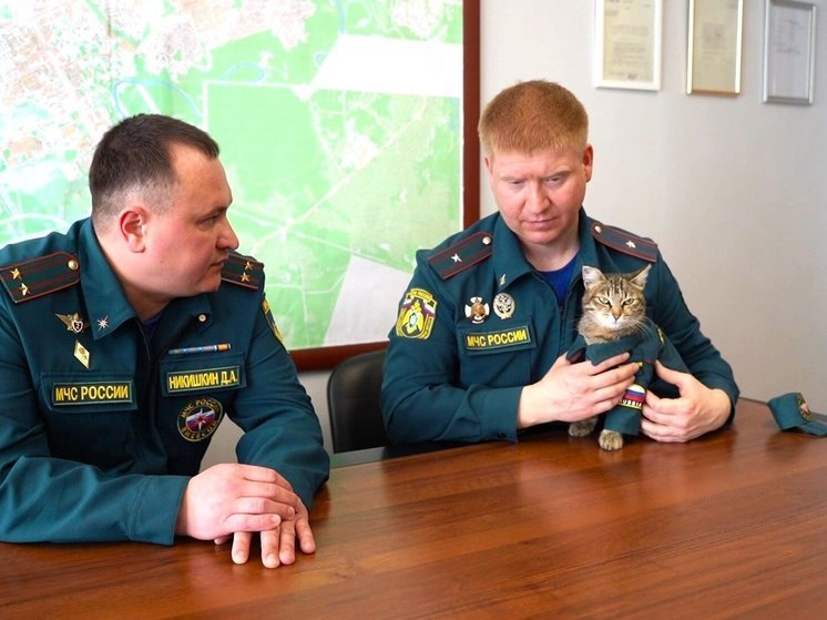 В пожарной части Нягани «служит» кошка Маруся