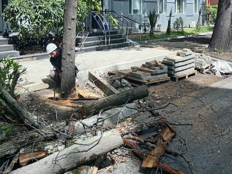 В Завокзальном микрорайоне Сочи начали пропадать деревья