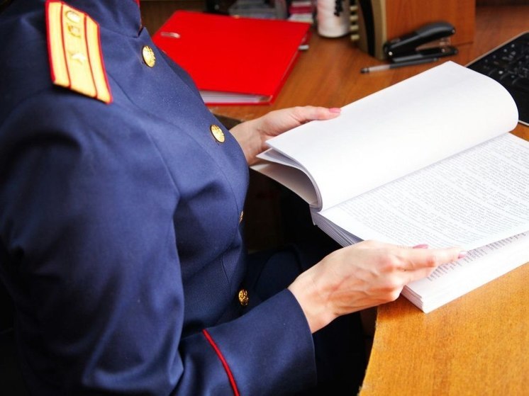 Бастрыкин взял на контроль дело о нападении стаи собак на ребенка в Тверской области