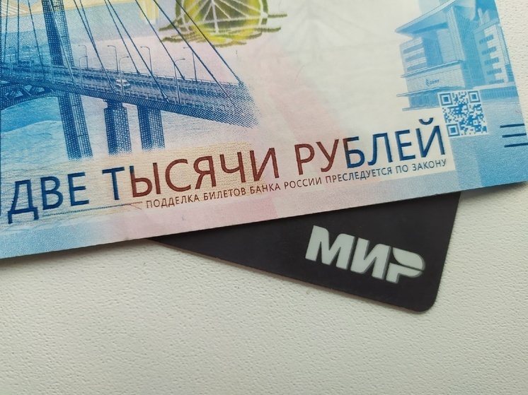 Новогодний костюм для дочери купила жительница Устюжны за чужой счет