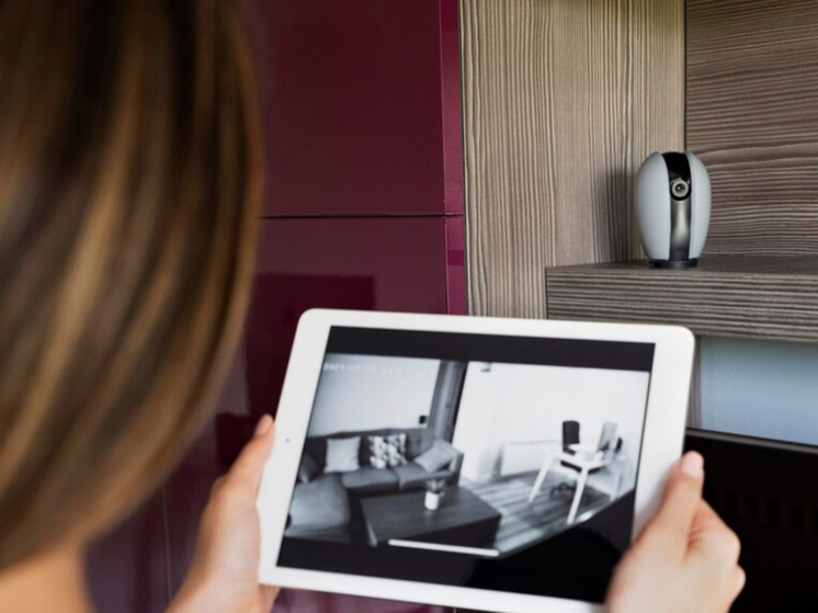 Мужчина изнасиловал алабая своих хозяев: узнали, когда сняли на видео