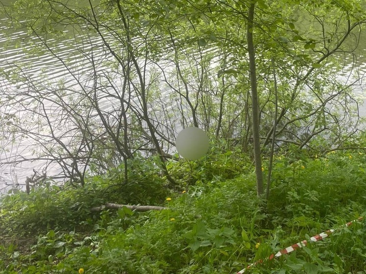 В Москве в парке района Кузьминки нашли тело маленького ребенка