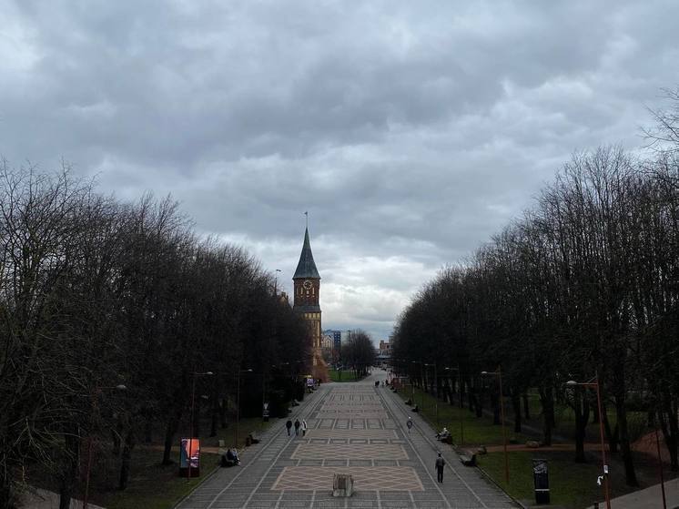 Для строительства Кантовского моста в Калининграде заказали уникальные конструкции