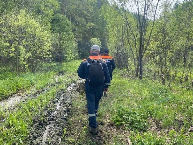 Тело пропавшего пенсионера нашли спасатели в районе Лесосибирска