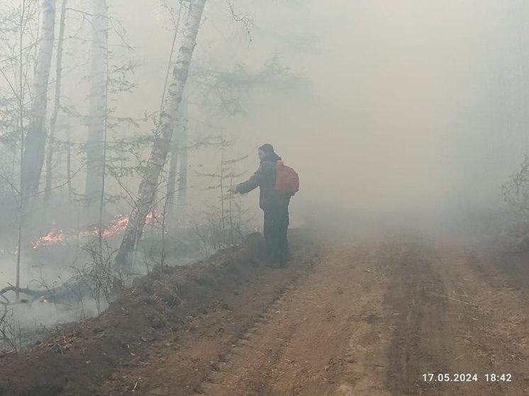 Три лесных пожара тушат в Чернышевском районе Забайкалья